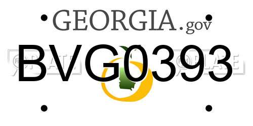 BVG0393 Georgia License Plate