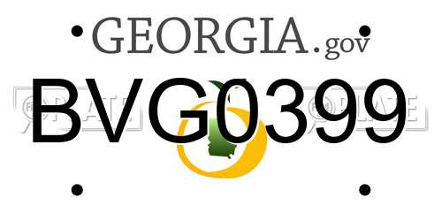 BVG0399 Georgia License Plate
