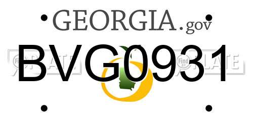 BVG0931 Georgia License Plate