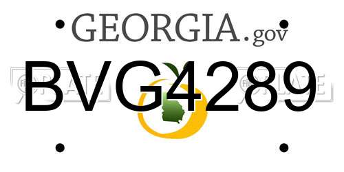 BVG4289 Georgia License Plate