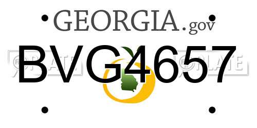 BVG4657 Georgia License Plate