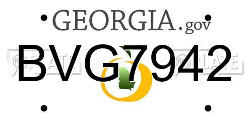 BVG7942 Georgia License Plate