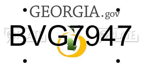 BVG7947 Georgia License Plate