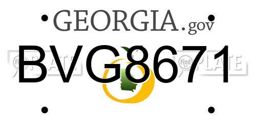 BVG8671 Georgia License Plate