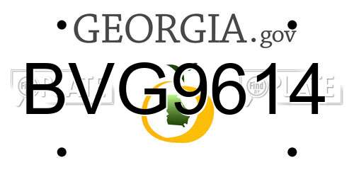 BVG9614 Georgia License Plate