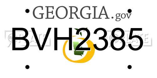 BVH2385 Georgia License Plate