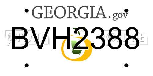 BVH2388 Georgia License Plate