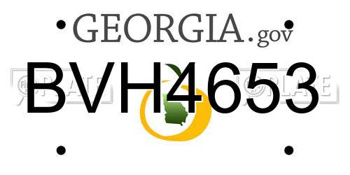 BVH4653 Georgia License Plate