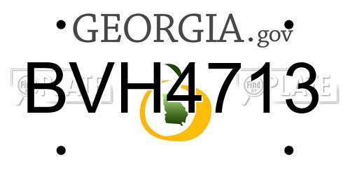 BVH4713 Georgia License Plate