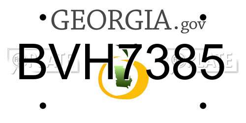 BVH7385 Georgia License Plate
