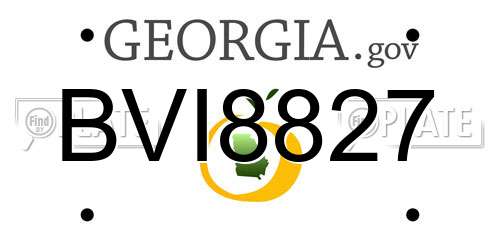 BVI8827 Georgia License Plate