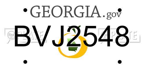 BVJ2548 Georgia License Plate