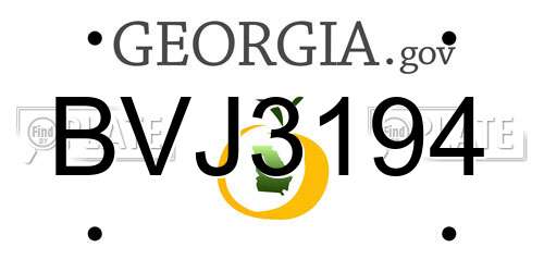 BVJ3194 Georgia License Plate