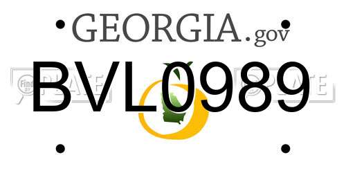 BVL0989 Georgia License Plate