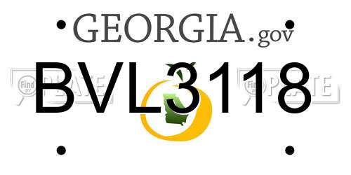 BVL3118 Georgia License Plate