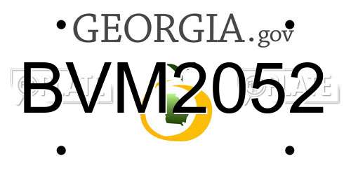 BVM2052 Georgia License Plate