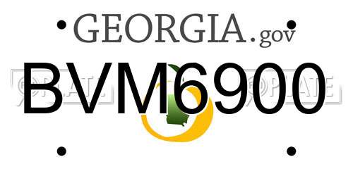 BVM6900 Georgia License Plate