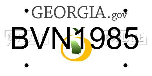 BVN1985 Georgia License Plate