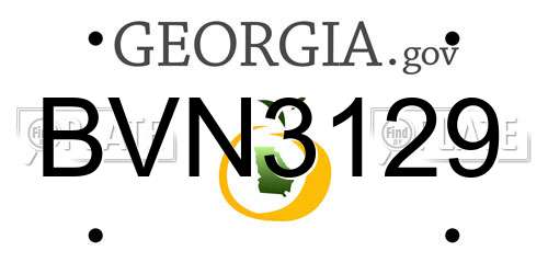 BVN3129 Georgia License Plate
