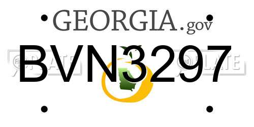 BVN3297 Georgia License Plate
