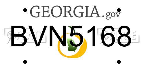 BVN5168 Georgia License Plate