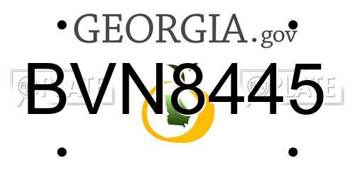 BVN8445 Georgia License Plate