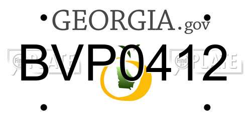 BVP0412 Georgia License Plate