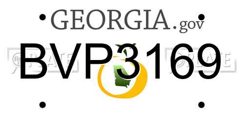 BVP3169 Georgia License Plate