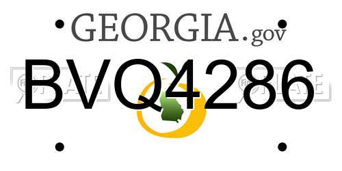 BVQ4286 Georgia License Plate
