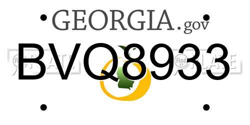 BVQ8933 Georgia License Plate