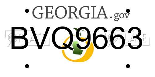 BVQ9663 Georgia License Plate