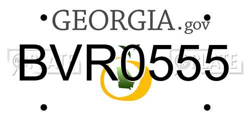 BVR0555 Georgia License Plate