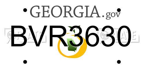 BVR3630 Georgia License Plate