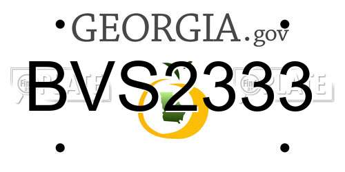 BVS2333 Georgia License Plate