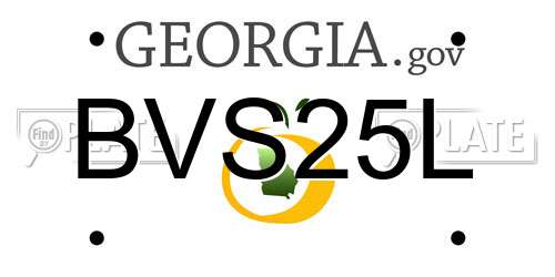 BVS25L Georgia License Plate