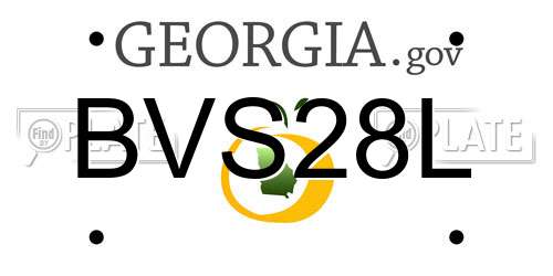 BVS28L Georgia License Plate