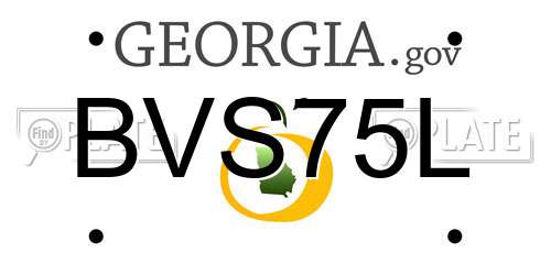 BVS75L Georgia License Plate