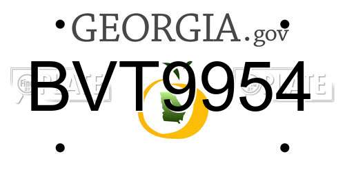 BVT9954 Georgia License Plate