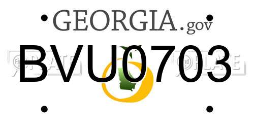 BVU0703 Georgia License Plate