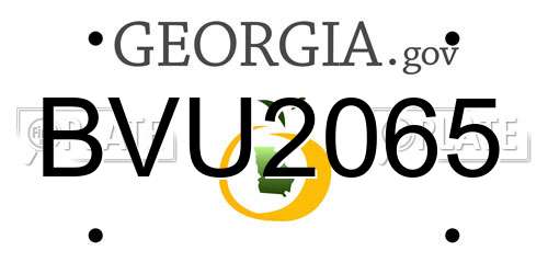 BVU2065 Georgia License Plate