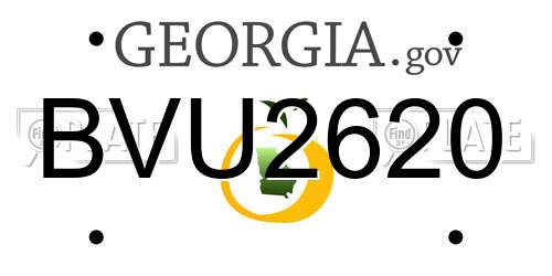 BVU2620 Georgia License Plate
