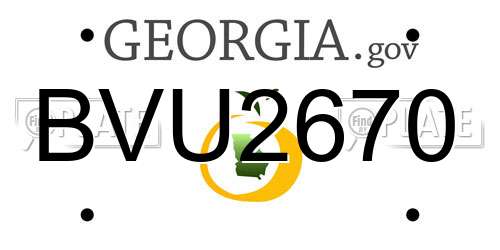 BVU2670 Georgia License Plate