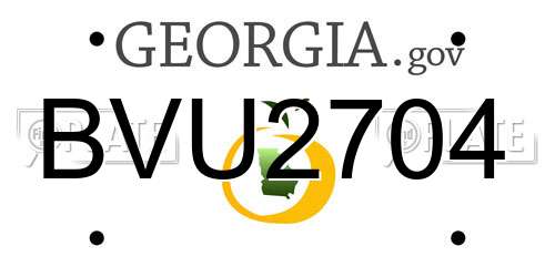 BVU2704 Georgia License Plate