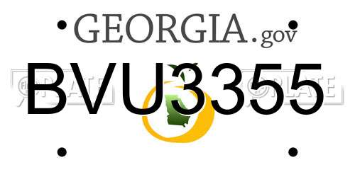 BVU3355 Georgia License Plate