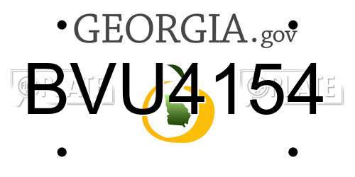 BVU4154 Georgia License Plate