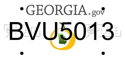BVU5013 Georgia License Plate