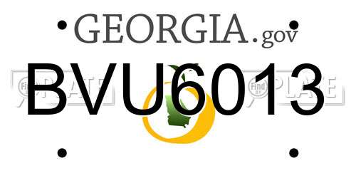 BVU6013 Georgia License Plate