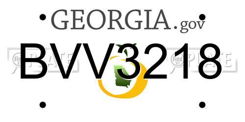 BVV3218 Georgia License Plate