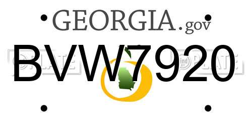 BVW7920 Georgia License Plate