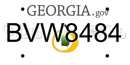 BVW8484 Georgia License Plate